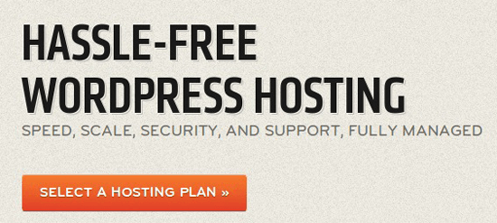 Example of a headline with a CTA for a hosting plan