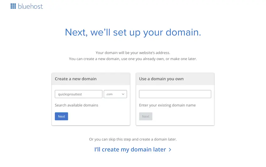 Bluehost's domain setup page