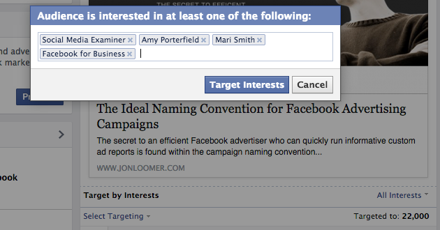 Facebook targeting preferences pop-up screen.
